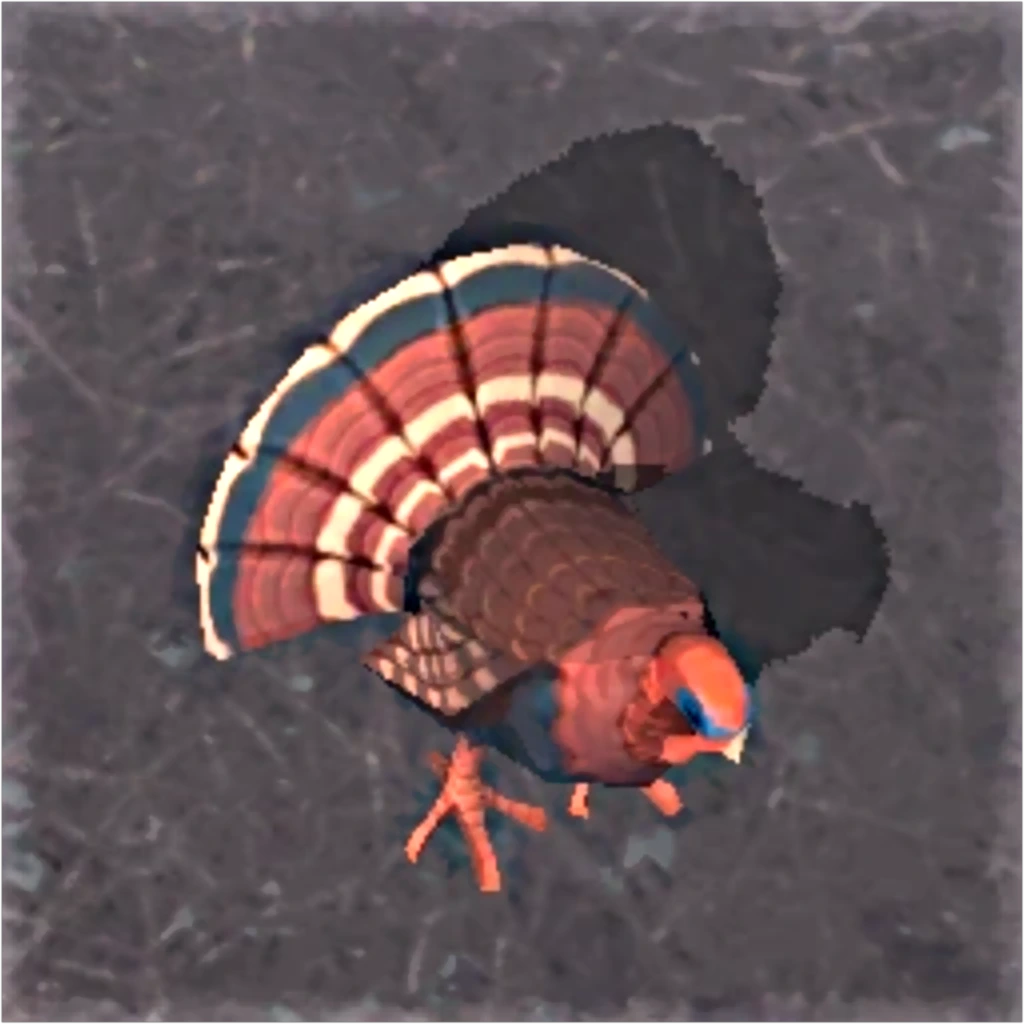 火鸡