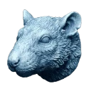 寒冷鼠
